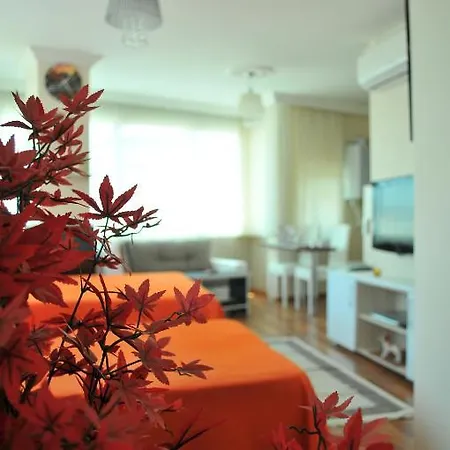 Apart Otel Royal 1 İstanbul